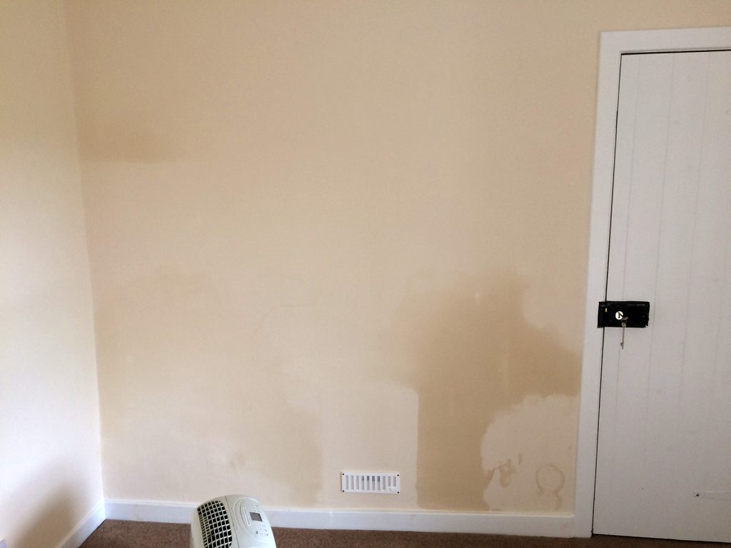 Rising Damp The Building Defects Consultancy Ltd   Damp To Wall 1024x768 